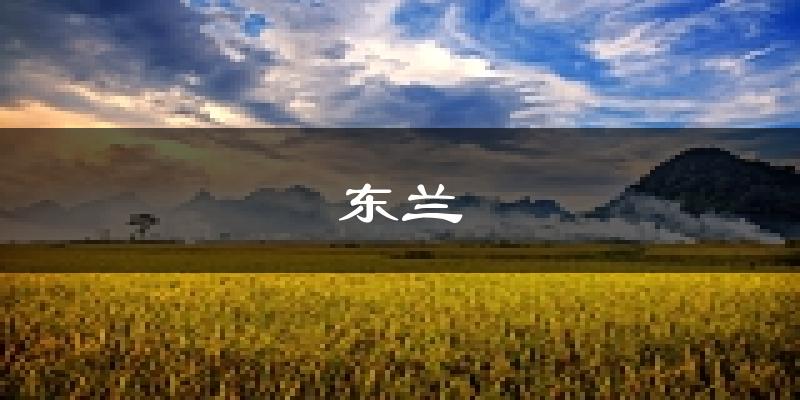 东兰天气预报未来一周