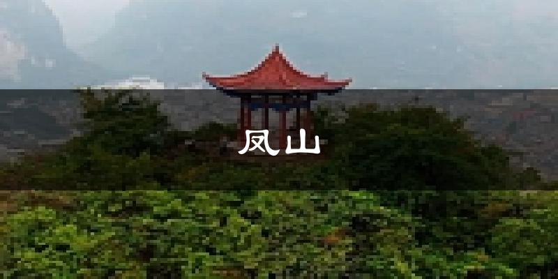 凤山天气预报未来一周