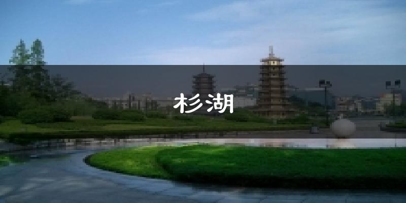 杉湖天气预报十五天