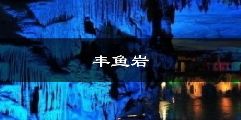丰鱼岩天气预报十五天
