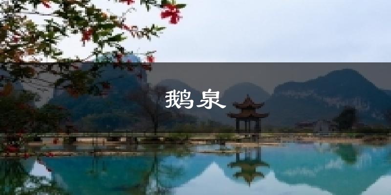 鹅泉气温